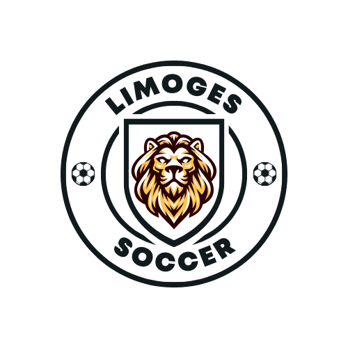 Youth soccer U12-U13 ~ 2012-2013