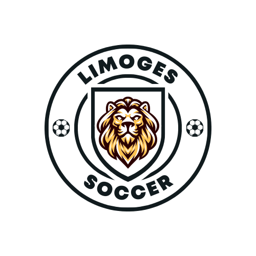Limoges Youth Mixed Recreational Indoor soccer